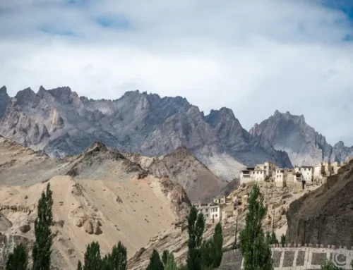Our Corporate Trip to Ladakh